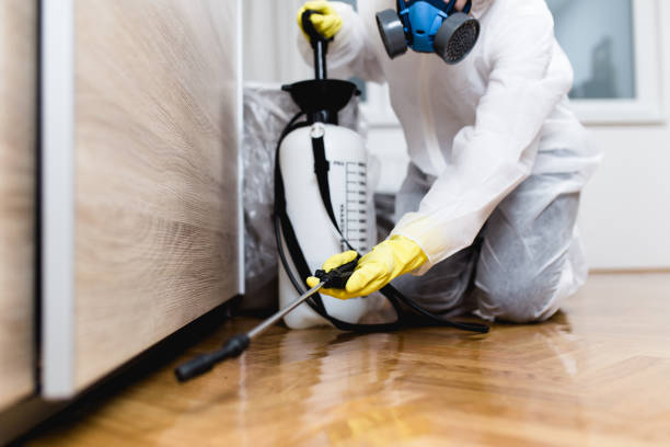 Best Ant Control Services  in Brundidge, AL