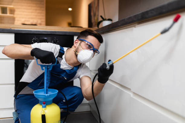 Best Affordable Pest Control Services  in Brundidge, AL