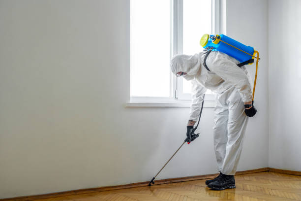 Best Residential Pest Control  in Brundidge, AL