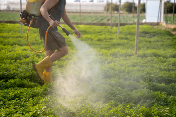 Best Pest Control Near Me  in Brundidge, AL