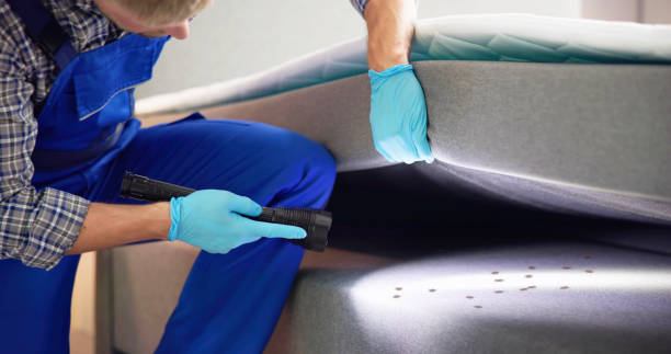 Best Pest Control for Businesses  in Brundidge, AL