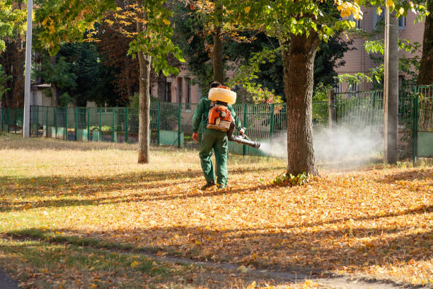 Flea Control Services in Brundidge, AL