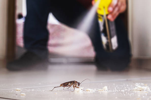 Best Wildlife Control Services  in Brundidge, AL